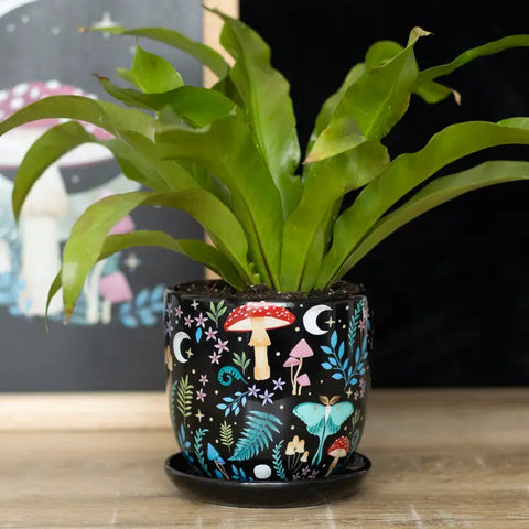 Something Different Dark Forest Print Ceramic Plant Pot w/Saucer