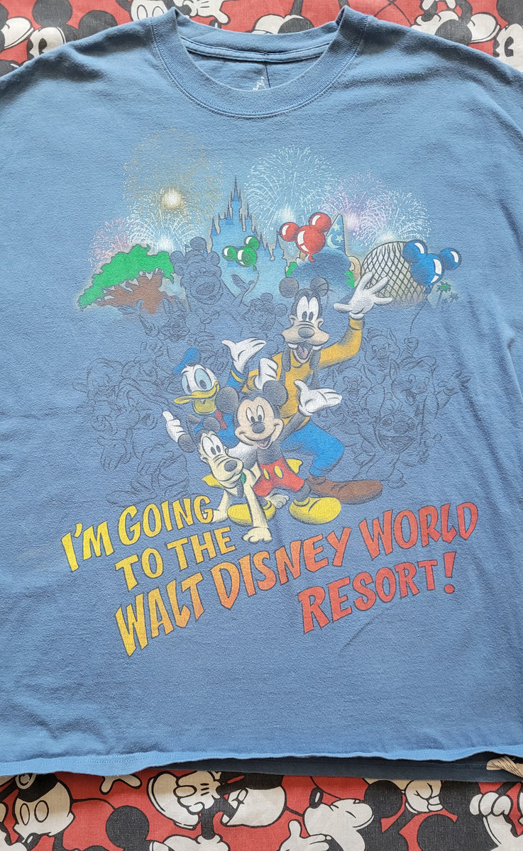 Vintage Y2K Disney World Resort Tshirt – Shopabernathys