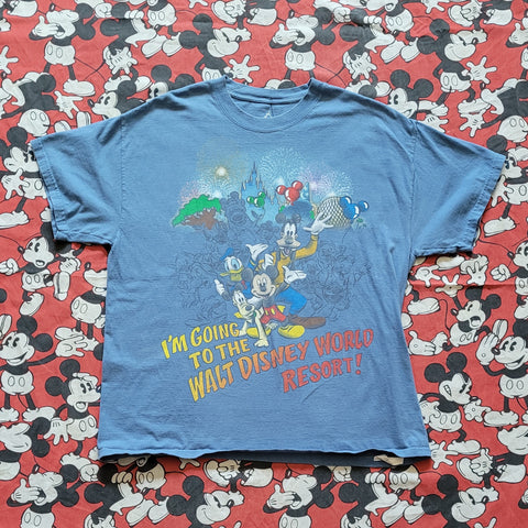 Vintage Y2K Disney World Resort Tshirt