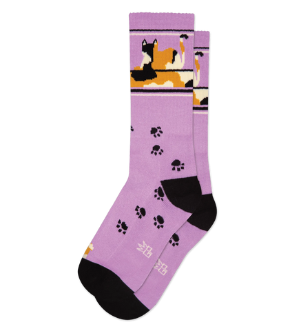 Gumball Poodle Purple Lounging Calico Cat Gym Socks