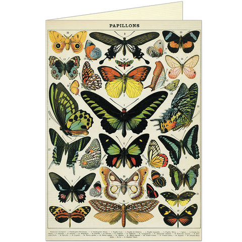 Cavallini & Co Papillons Greeting Card