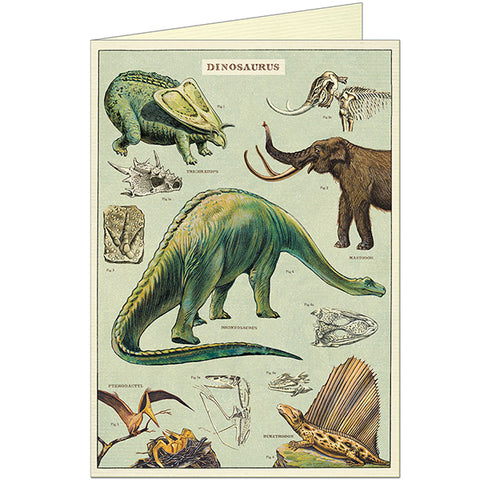 Cavallini & Co Dinosaurus Greeting Cards
