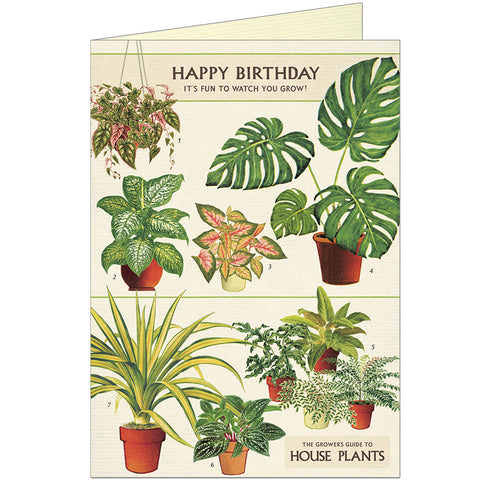 Cavallini & Co Happy Birthday House Plants Greeting Card