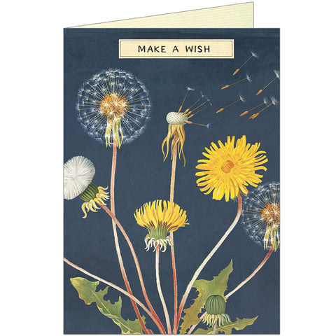 Cavallini & Co Make A Wish Greeting Card