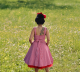 Hemet Red Gingham Dress Full Circle Skirt
