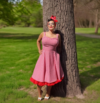 Hemet Red Gingham Dress Full Circle Skirt