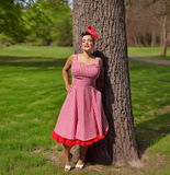 Hemet Red Gingham Dress Full Circle Skirt