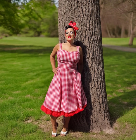 Hemet Red Gingham Dress Full Circle Skirt