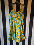 Gently Used Blue and Yellow Lemon Dress with Cape