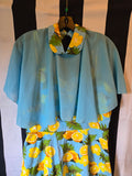 Gently Used Blue and Yellow Lemon Dress with Cape