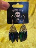 Red's Iridescent Jewel Beetle Shell Earrings
