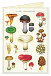 Cavallini & Co Mushrooms Greeting Card