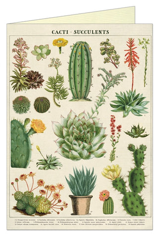 Cavallini & Co Cacti & Succulents Greeting Card