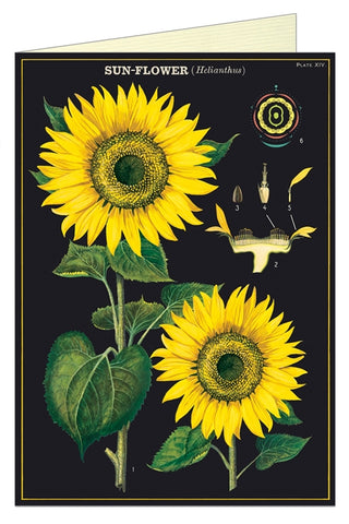 Cavallini & Co Sunflower Greeting Card