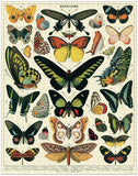 Cavallini & Co Butterflies 1,000 Piece Puzzle